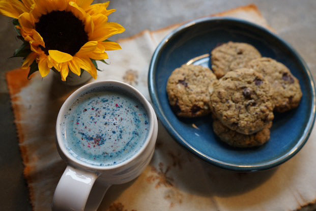 Rose Cardamom Lactation Cookie Mix - Gluten Free Oatmeal Chocolate