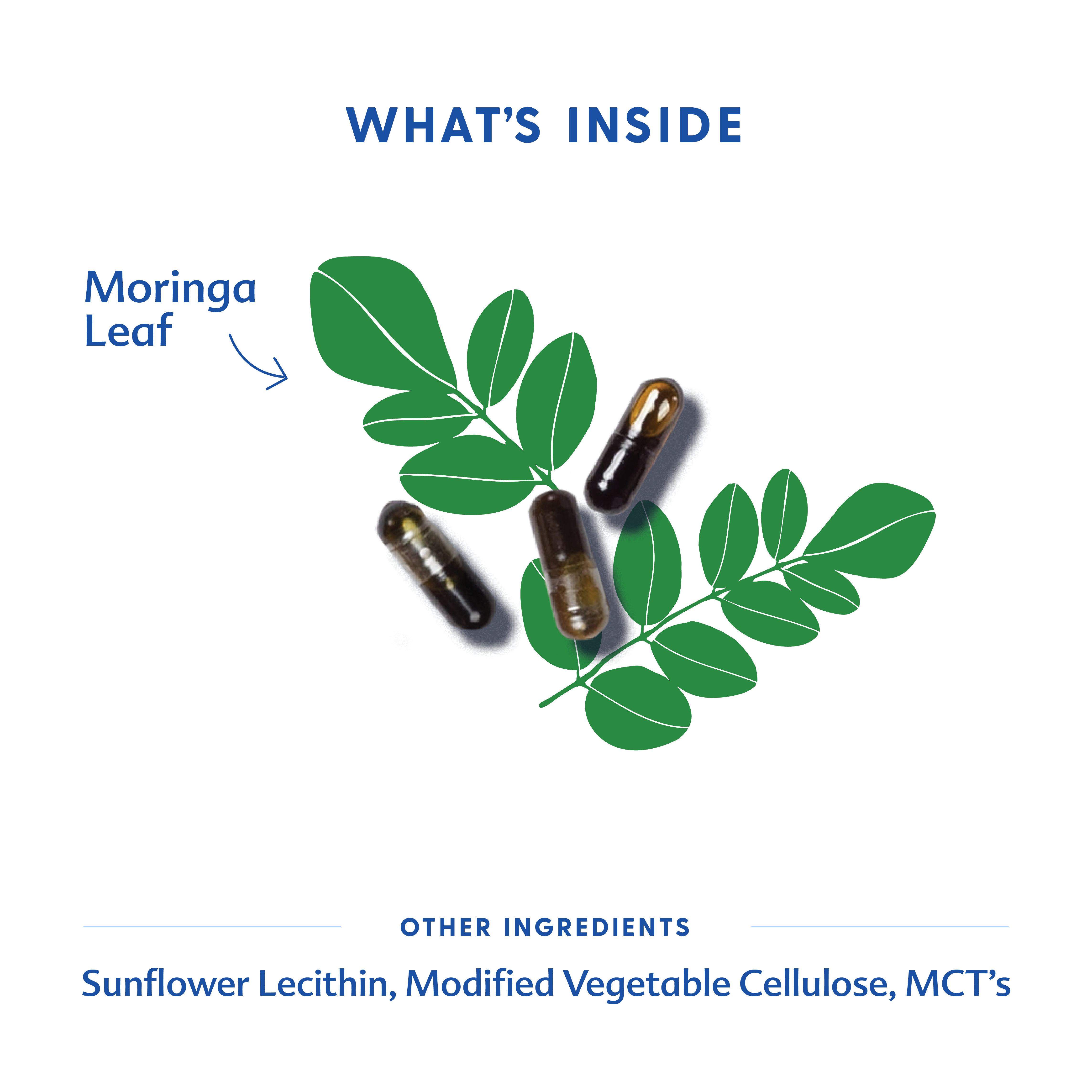 Moringa (Malunggay) - Liquid Capsules