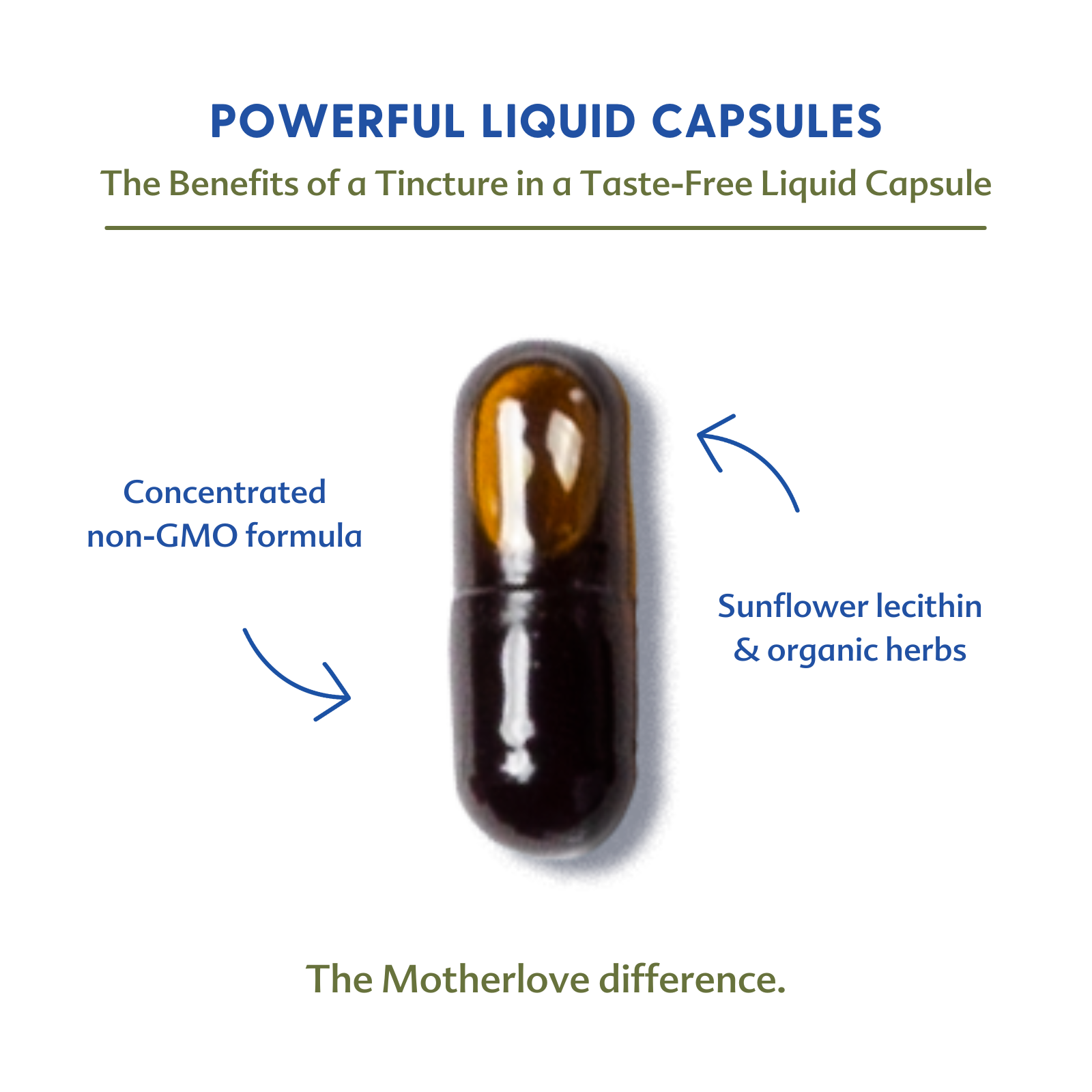 Moringa (Malunggay) - Liquid Capsules